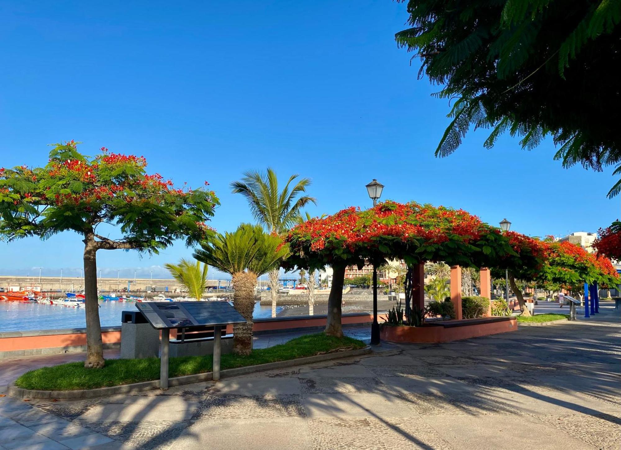 Casa Antonio - Apartamento Sol Playa de San Juan  Exterior photo